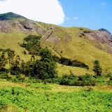 Anamudi Shola National Park Idukki 